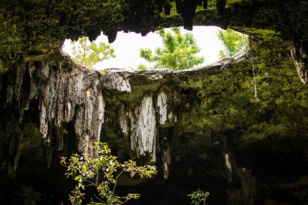 Cenote Mexico